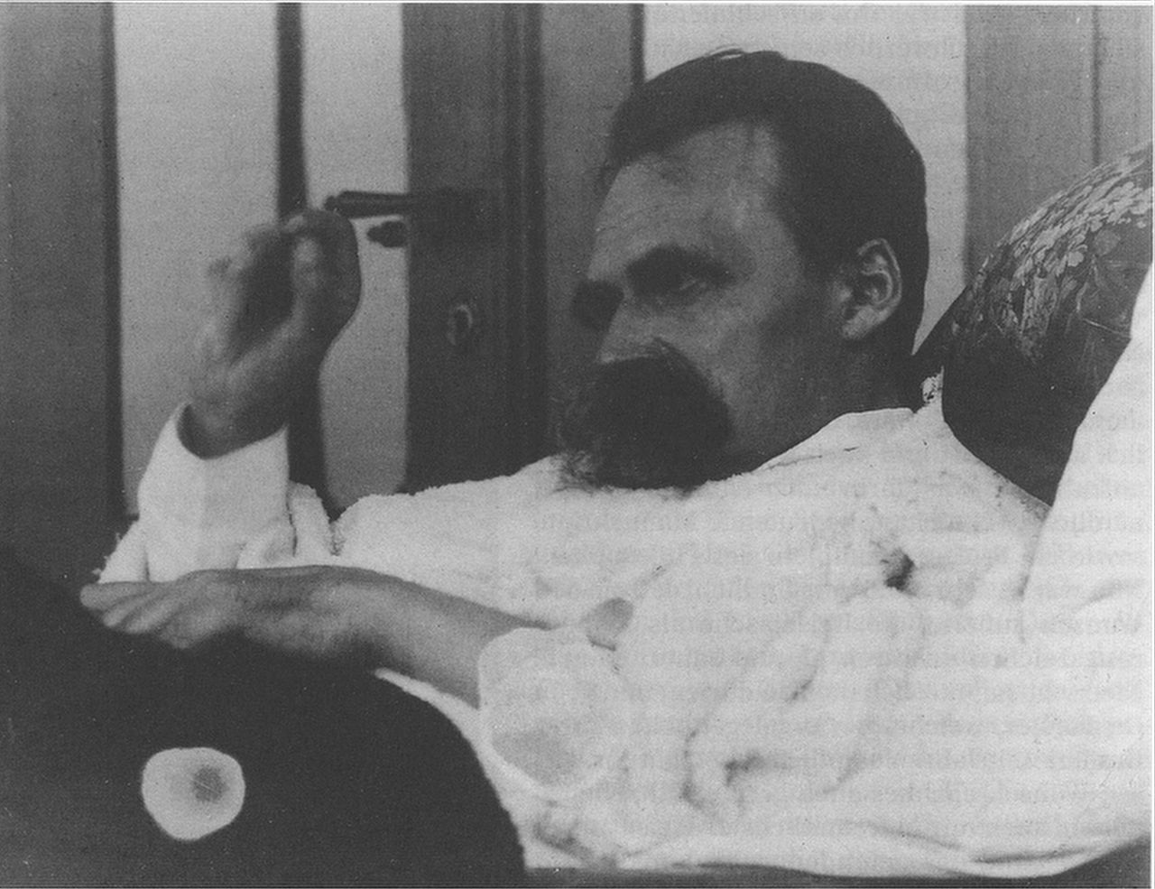 33# Nietzsche in salute